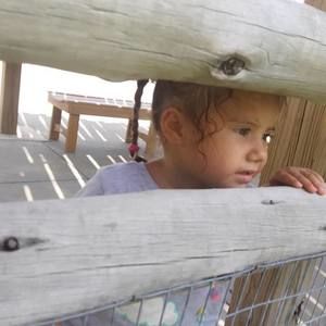 Meet your Posher, Cecelia